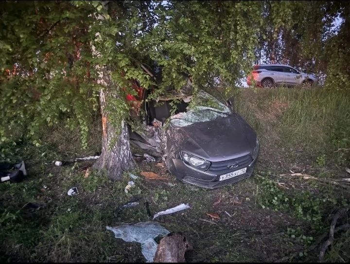 Два человека погибли в аварии с деревом в Волжском районе. Около 21:00 48-летний мужчина ехал на Гра