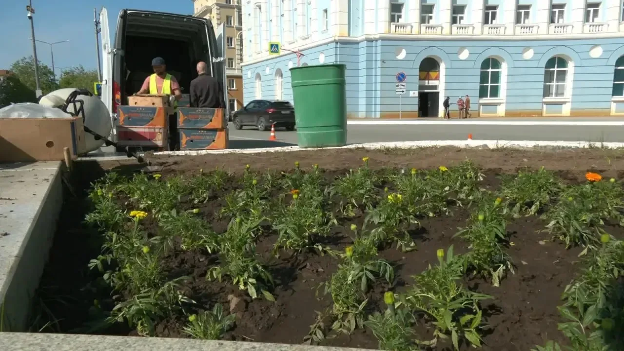 🌸 Норильск зацветает: стартовал масштабный этап озеленения