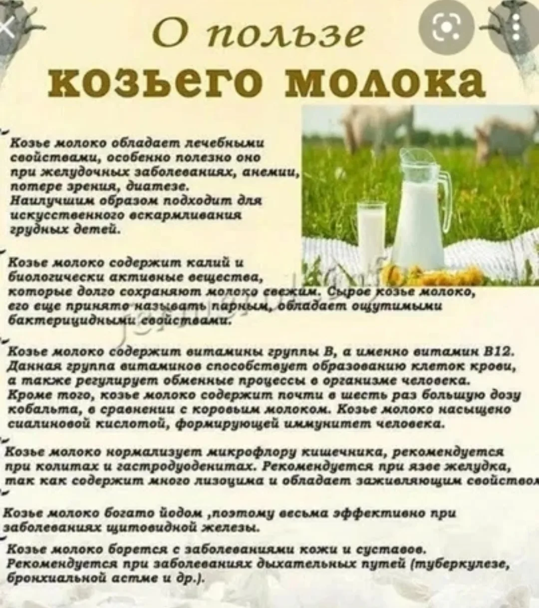 ❗Некоторые преимущества козьего молока перед коровьим: