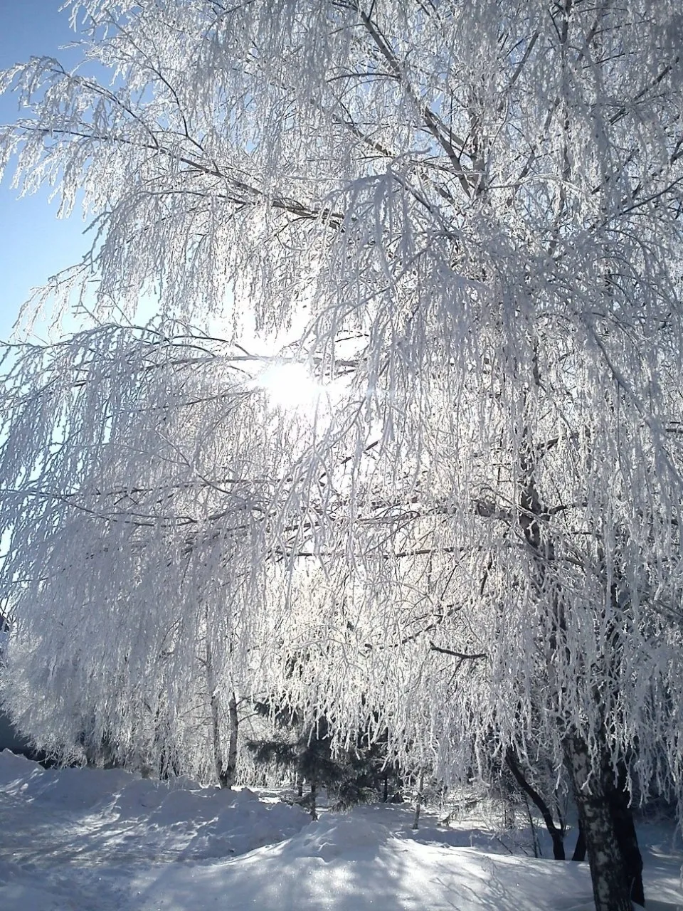 Присылайте Ваши фото в "Предложить пост"