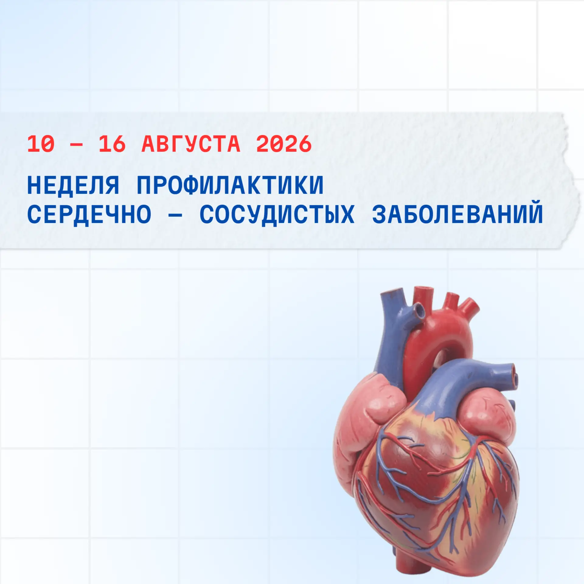 С 10 по 16 августа 2026 проводится Неделя профилактики сердечно-сосудистых заболеваний ...