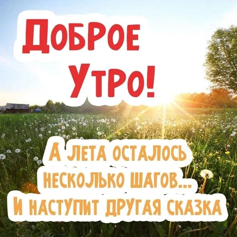 🍀Последний день лета — особенный. Впереди встречи, яркие моменты и интересные события....