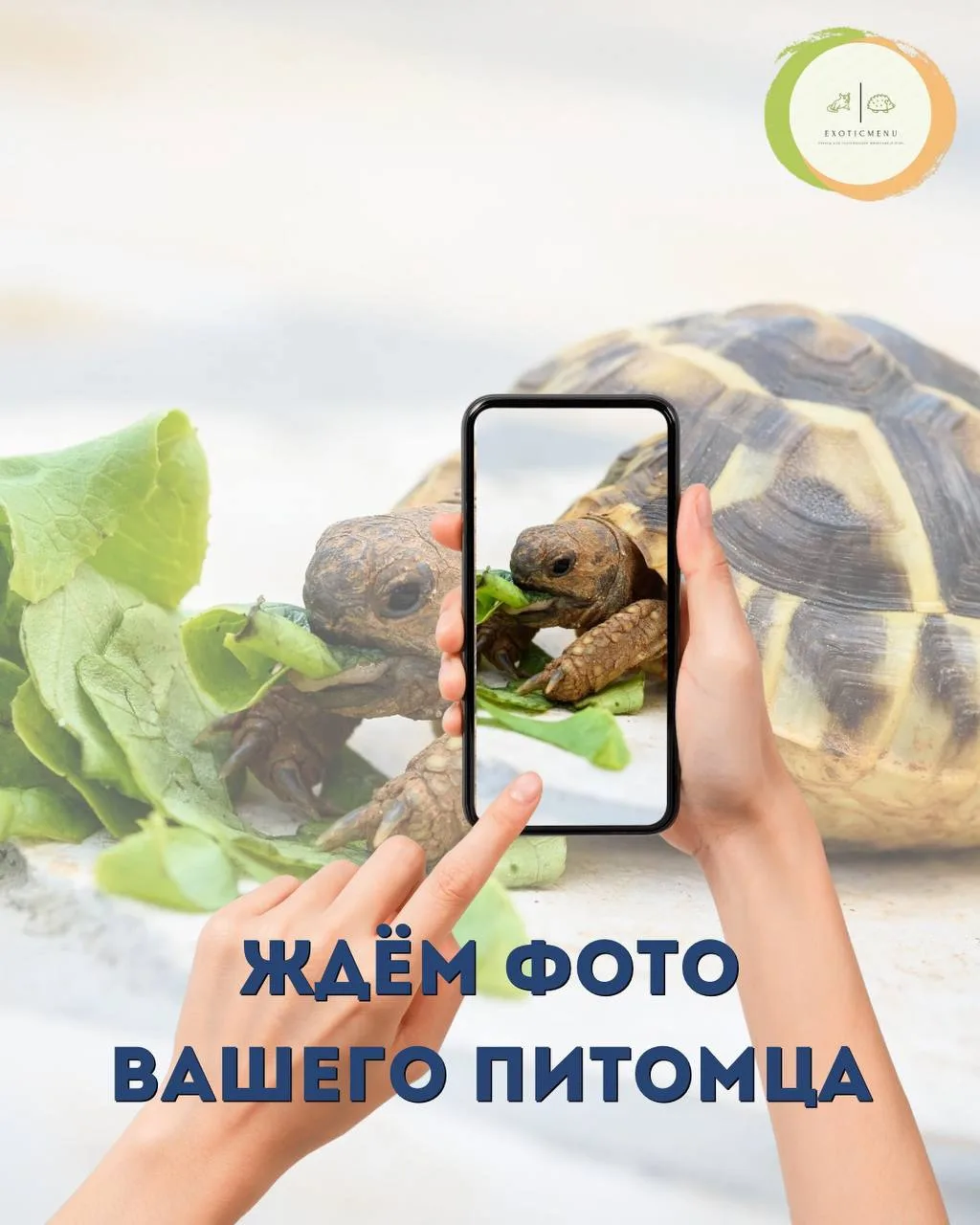 Мы запускаем конкурс «Питомец за едой»!