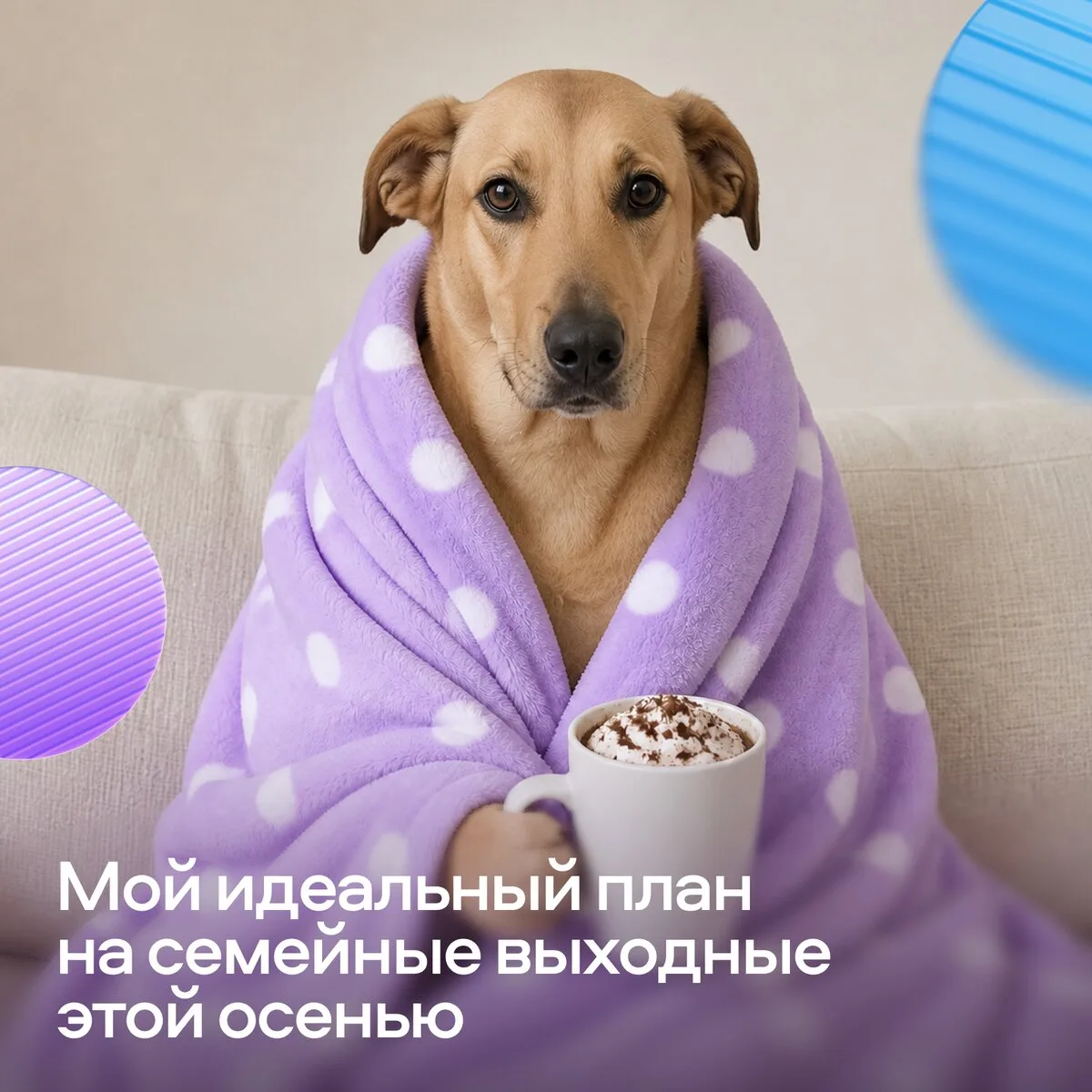 Выходные могут быть лучше