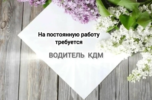 В МКУ «Юрьев-Польский центр муниципальных услуг» на постоянную работу требуется водител...