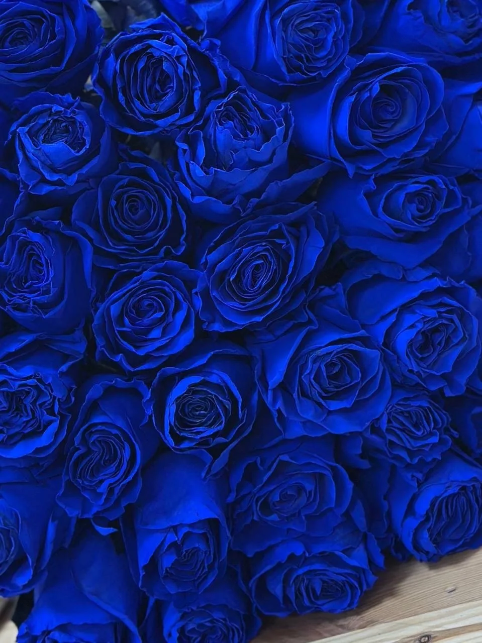 Синие розы все проданы💙🫶🏻