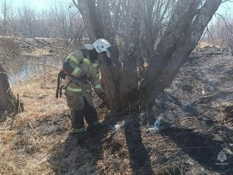 🔥 На Камчатке огонь уничтожил почти 27 гектаров сухой травы

С начала пожароопасного периода на К
