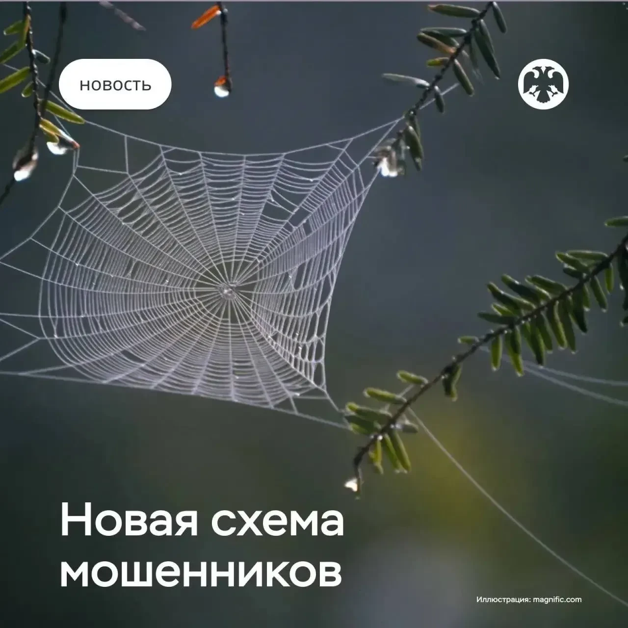 ⚠️ Мошенники просят перезвонить: новая схема обмана