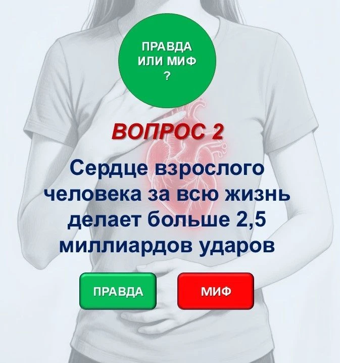 Викторина «Правда или миф?»