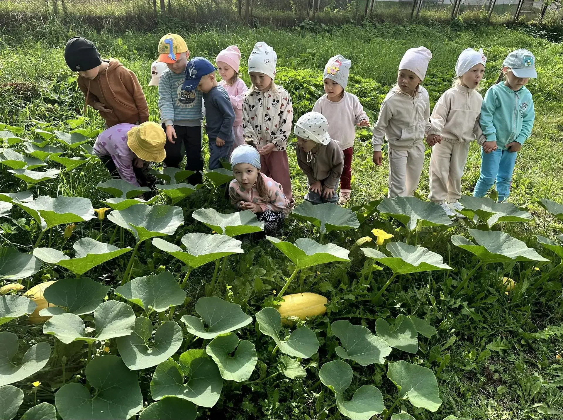 Солнечный овощ у нас сегодня в центре внимания! 📸 Дети так увлеченно его рассматривают...