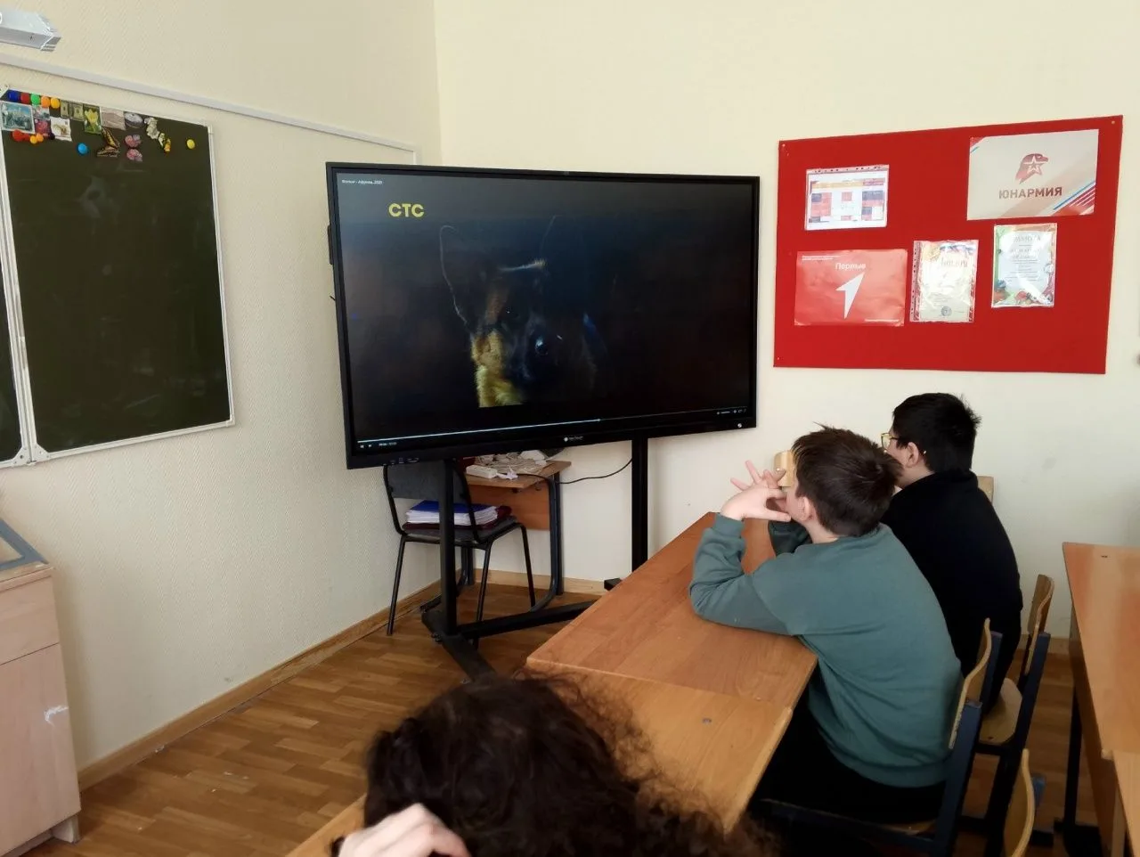 Кино в ЦДИ: «Африка» Ученики 5-8 классов посмотрели фильм «Африка» (6+) в Центре детских инициатив. 