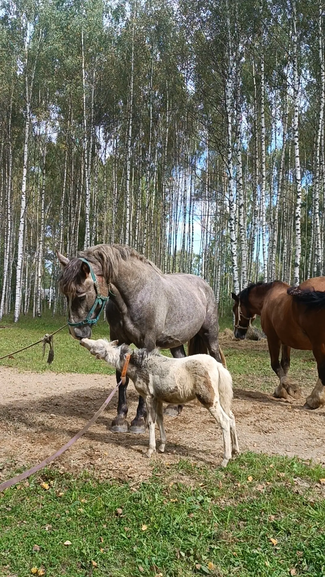 Знакомьтесь)