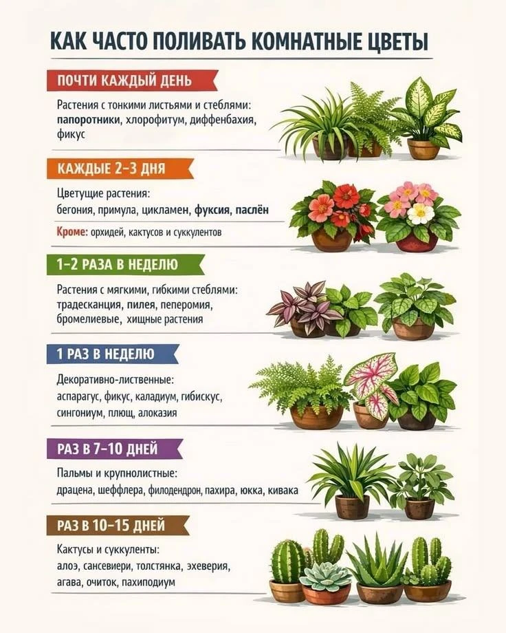 ❗️На заметку