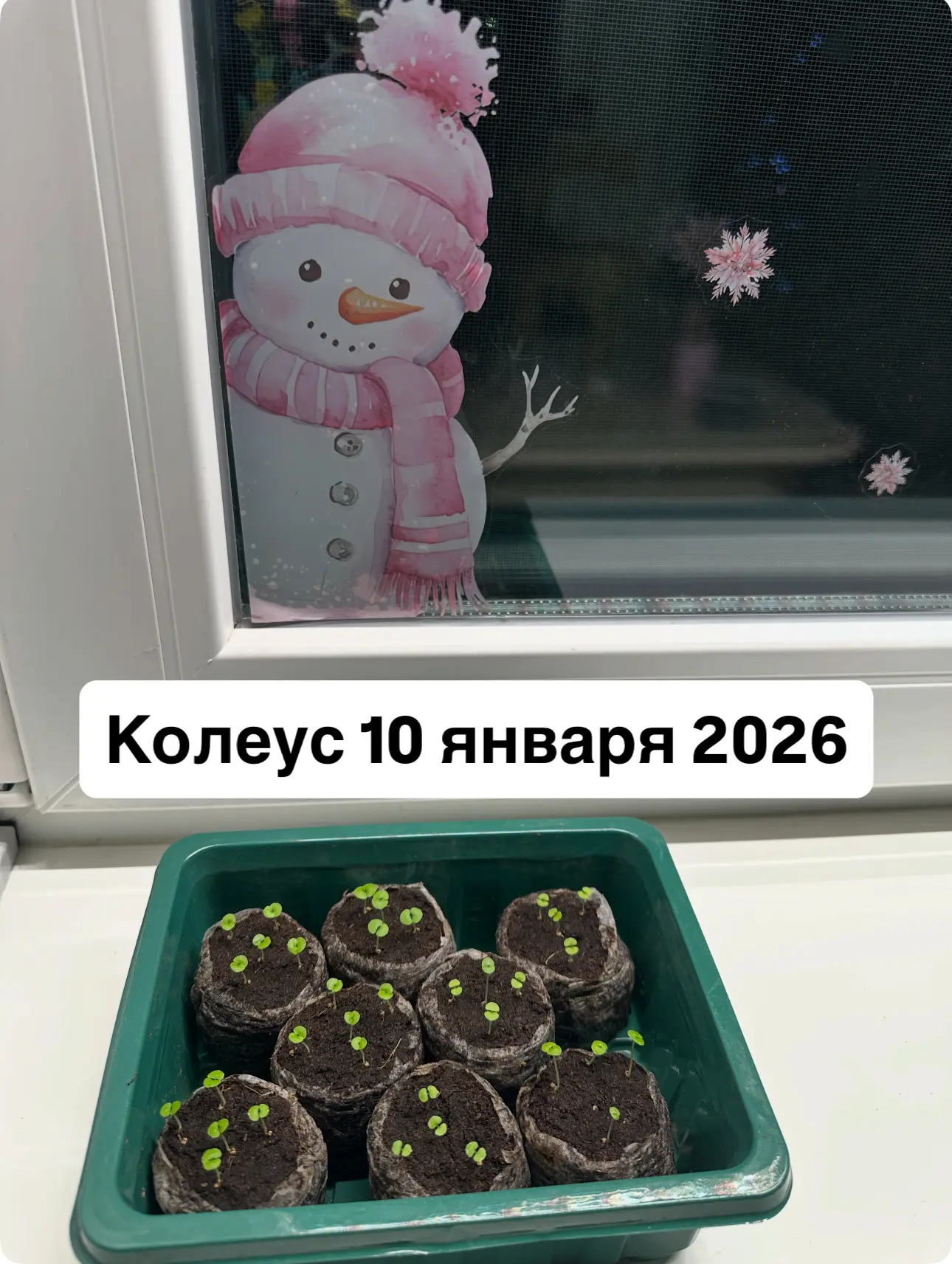 Скучаете по весне? Мы уже начали! 🌱