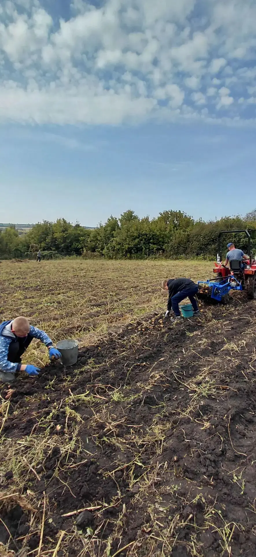 Урожай собран: как наши школьники потрудились на пришкольном участке! 🥖🥕