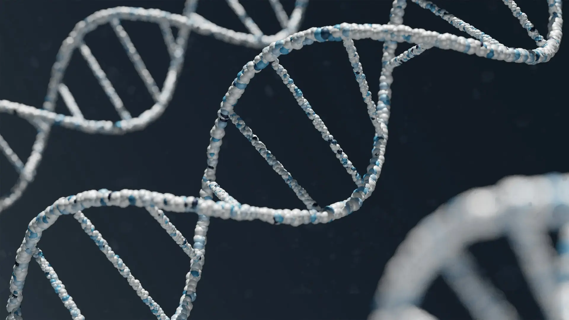 🐄🧬 Актуальный перечень генетически детерминированных заболеваний племенных животных Е...