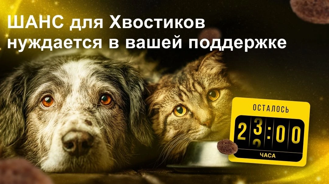Через 15 часов заканчивается корзина помощи для приюта "Шанс для Хвостиков". На попечении приюта в с