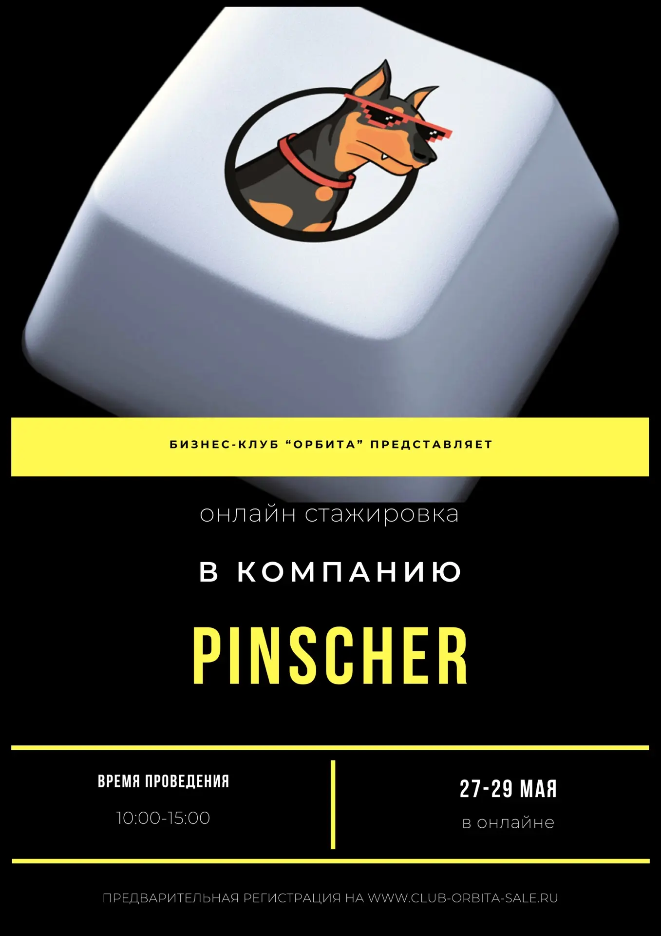 Бизнес экскурсия к команде компании Pinscher! онлайн!