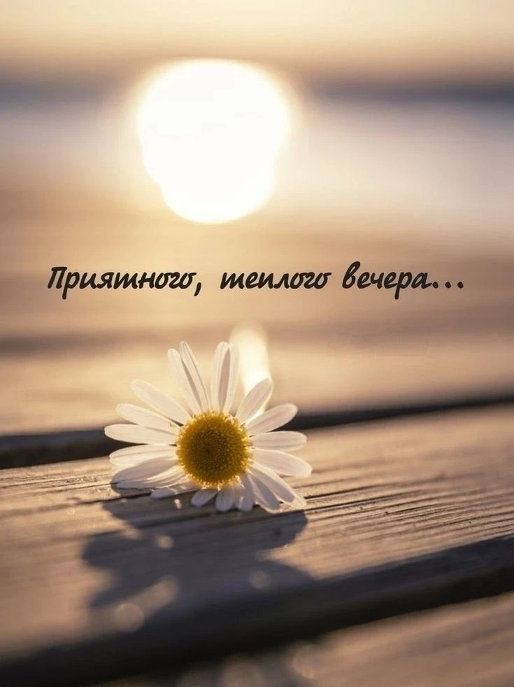 Приятного вечера!