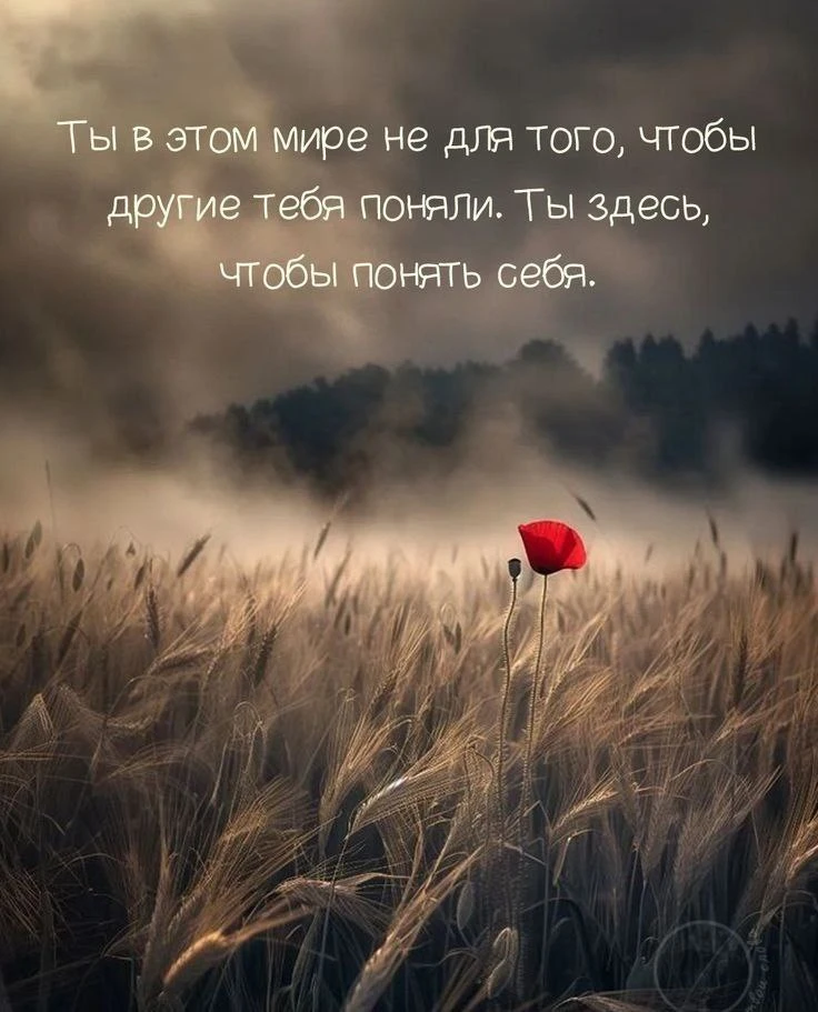 Настроение 💞