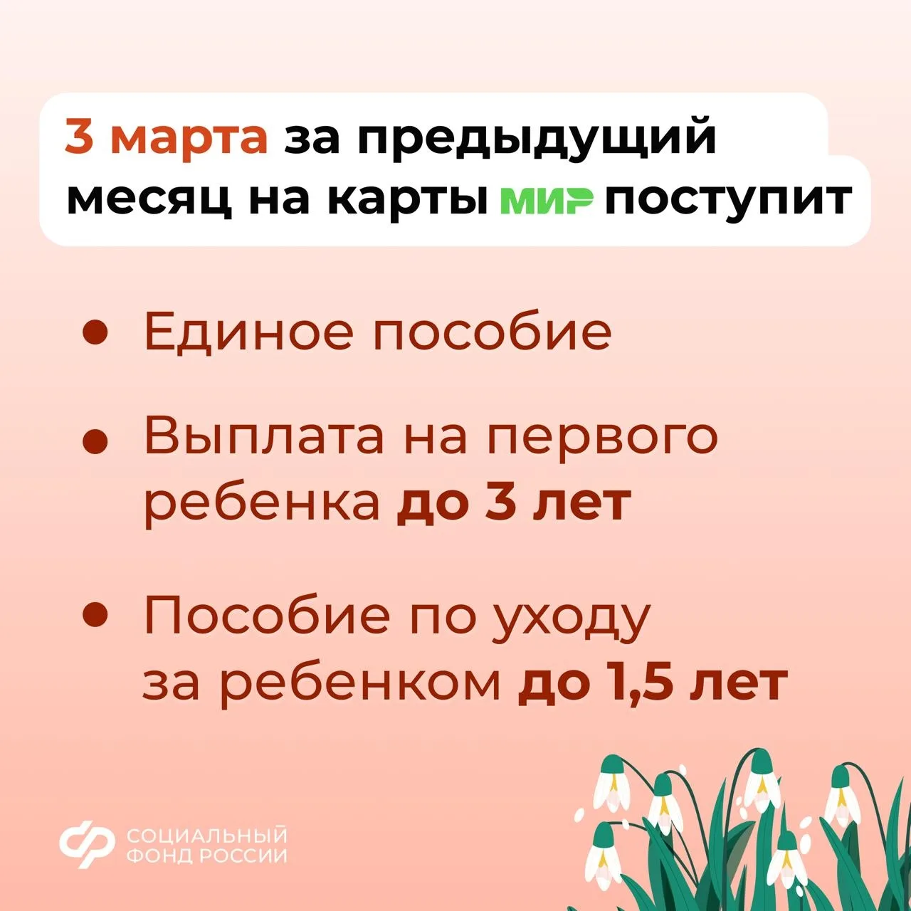 👨‍👩‍👦 3, 5 и 6 марта – дни зачисления выплат семьям с детьми на карты и счета    💳 Напоминаем, что п