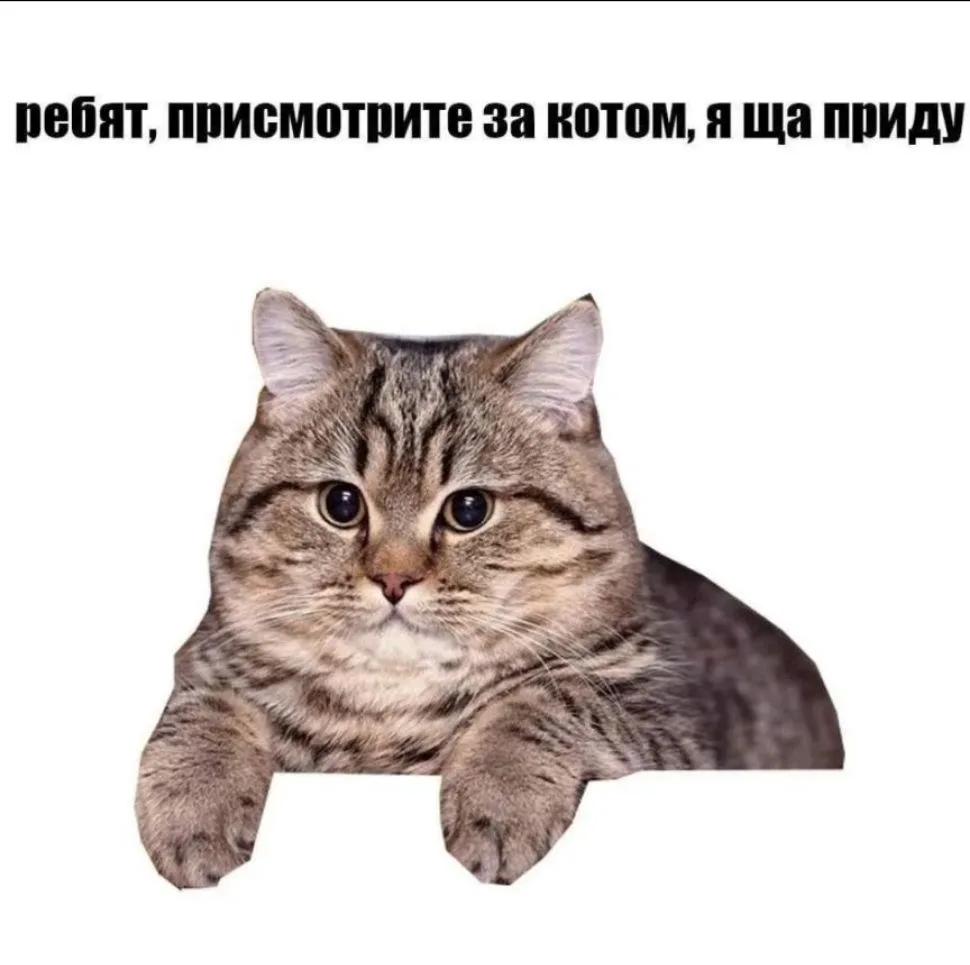 Скоро буду