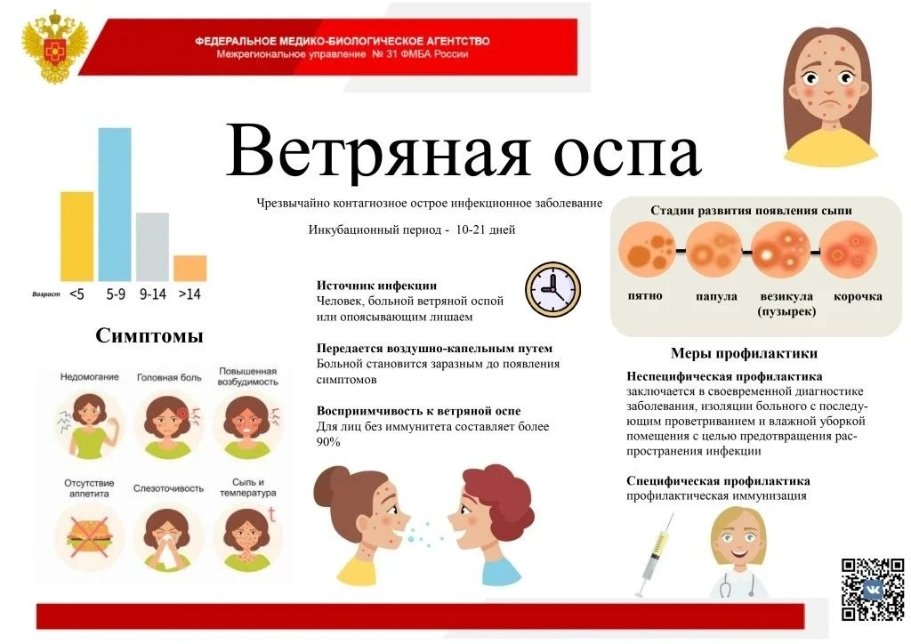 Алгоритм работы в очагах ветряной оспы и опоясывающего лишая в организованных коллективах при возник