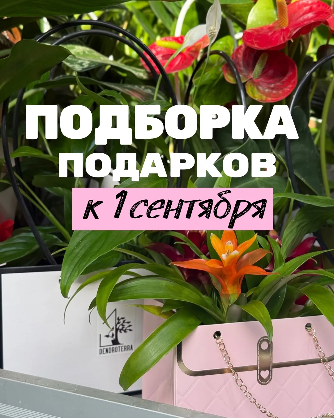 Что подарить учителю на 1 сентября, чтобы это было красиво и не банально?