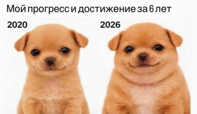 😊Мы?