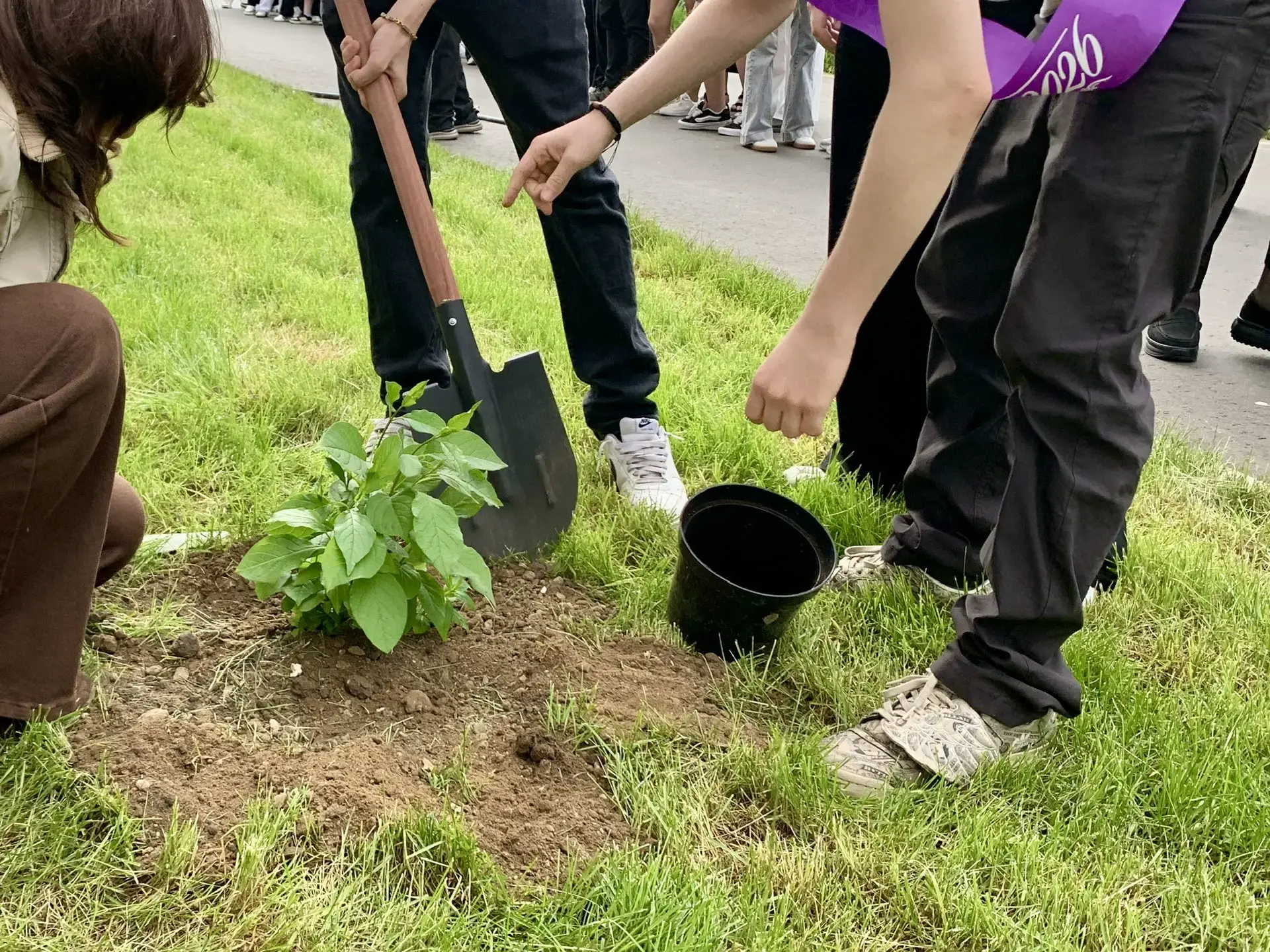 СИРЕНЬ ПАМЯТИ  🌸 Дорогие наши выпускники, родители и учителя!  ✨ Вот уже звенят последние звонки, а 