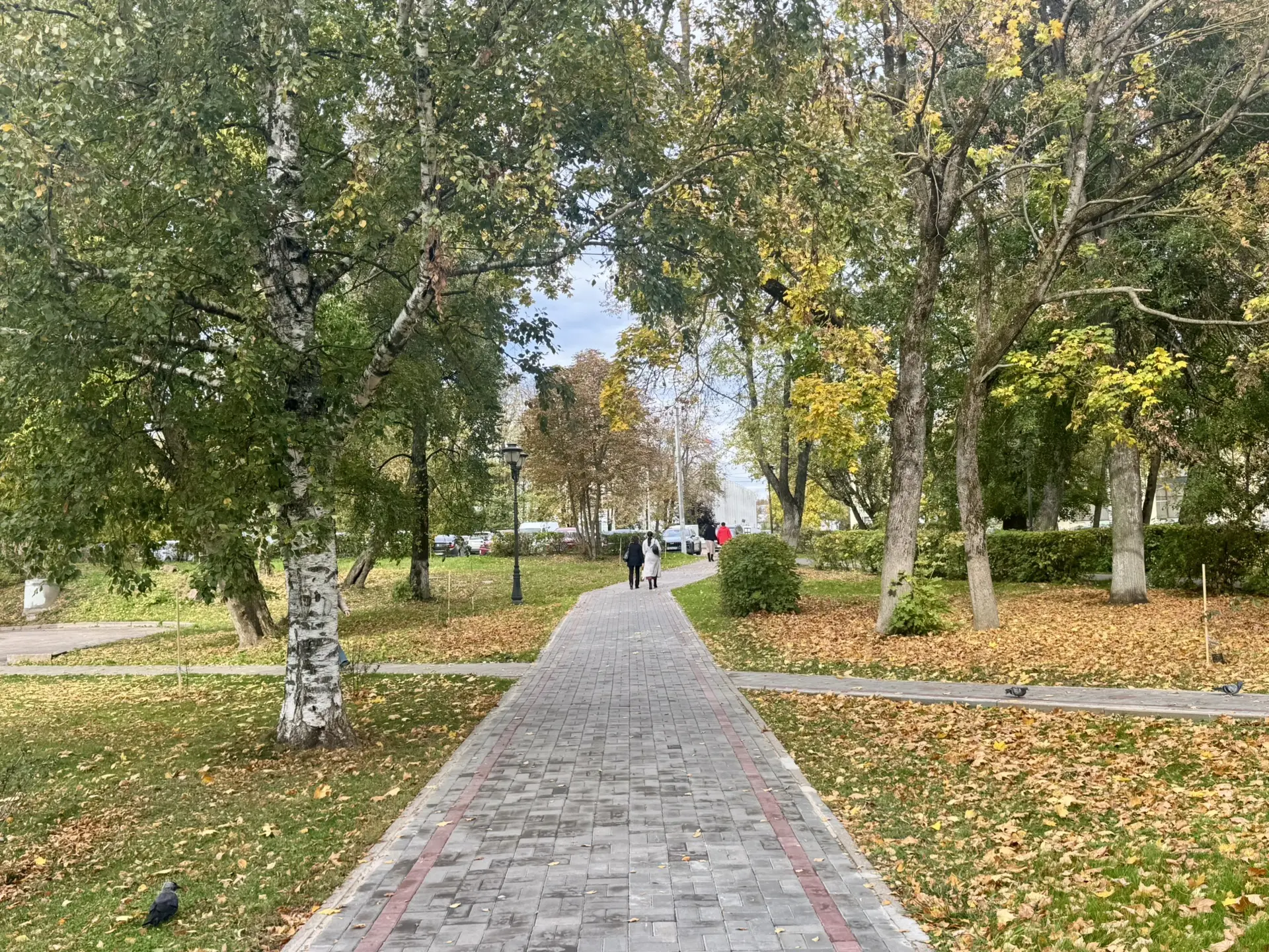 Осень и кот — уже не просто картинка, а официальный план на выходные.