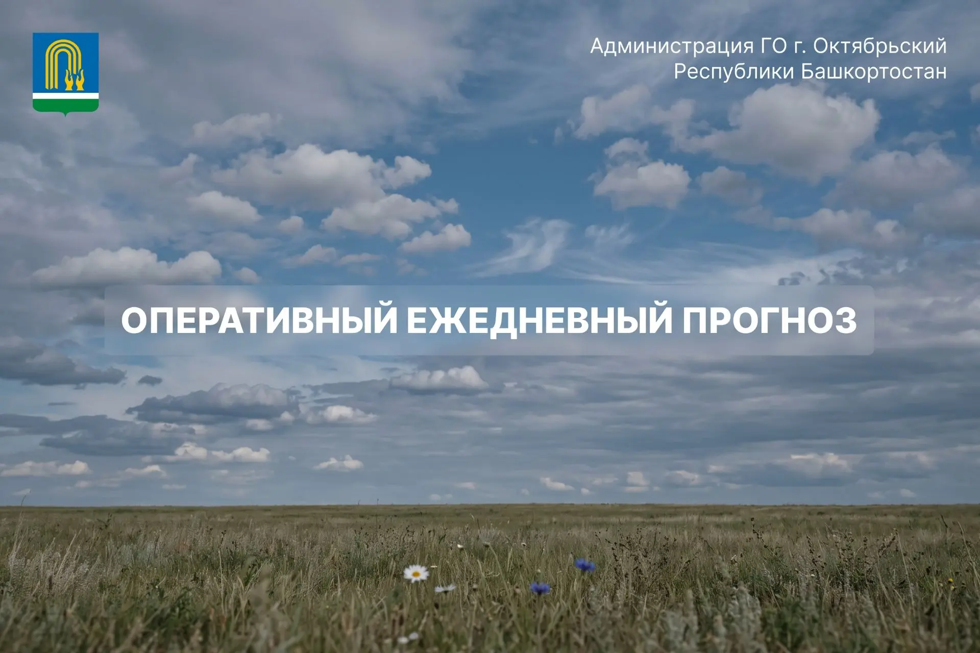 Оперативный ежедневный прогноз

01.08.2026 года — облачная погода с прояснениями. Ночью местами, дне