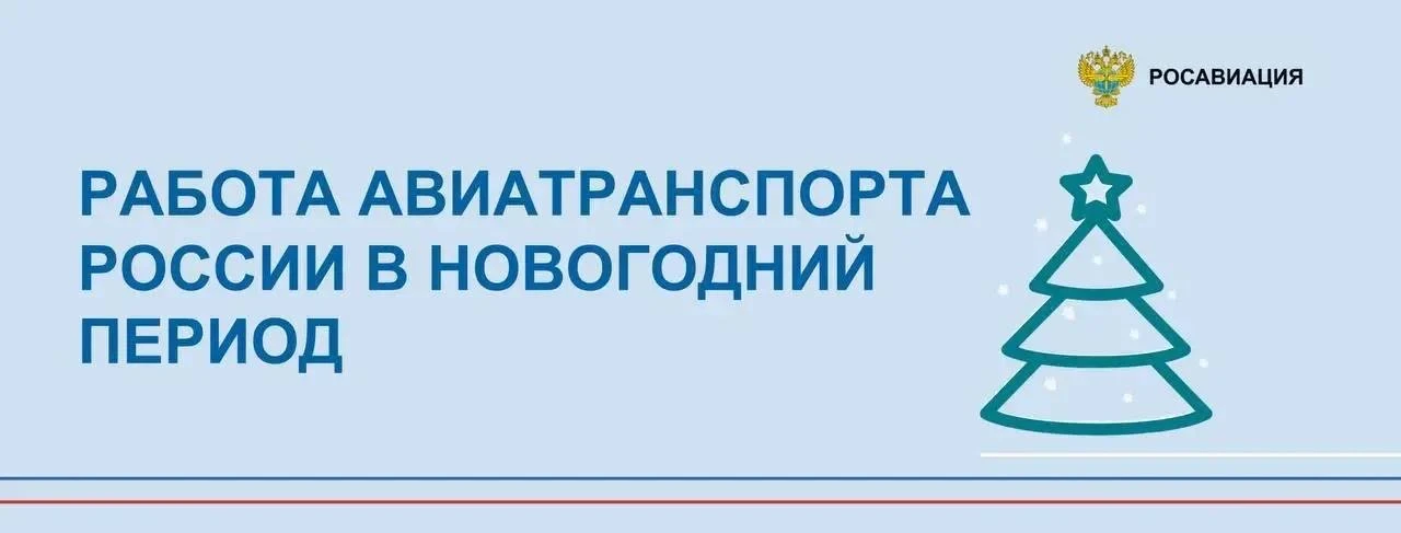 1529 рейсов обслужили в субботу, 10 января, все четыре аэропорта московского региона.