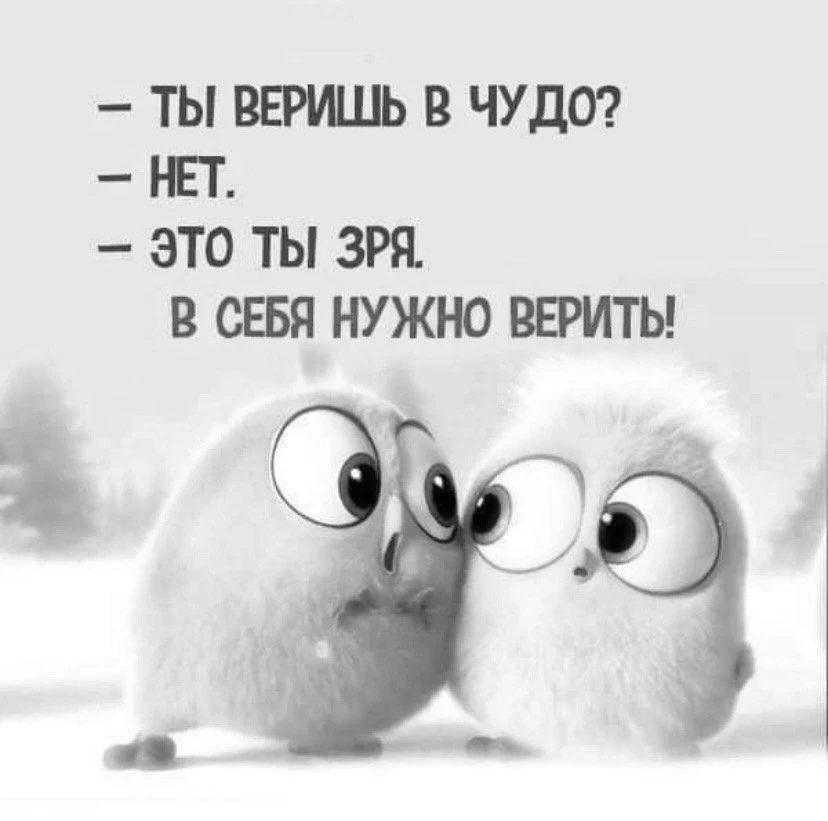 🇷🇺  Мы в МАХ : https://max.ru/public217683068