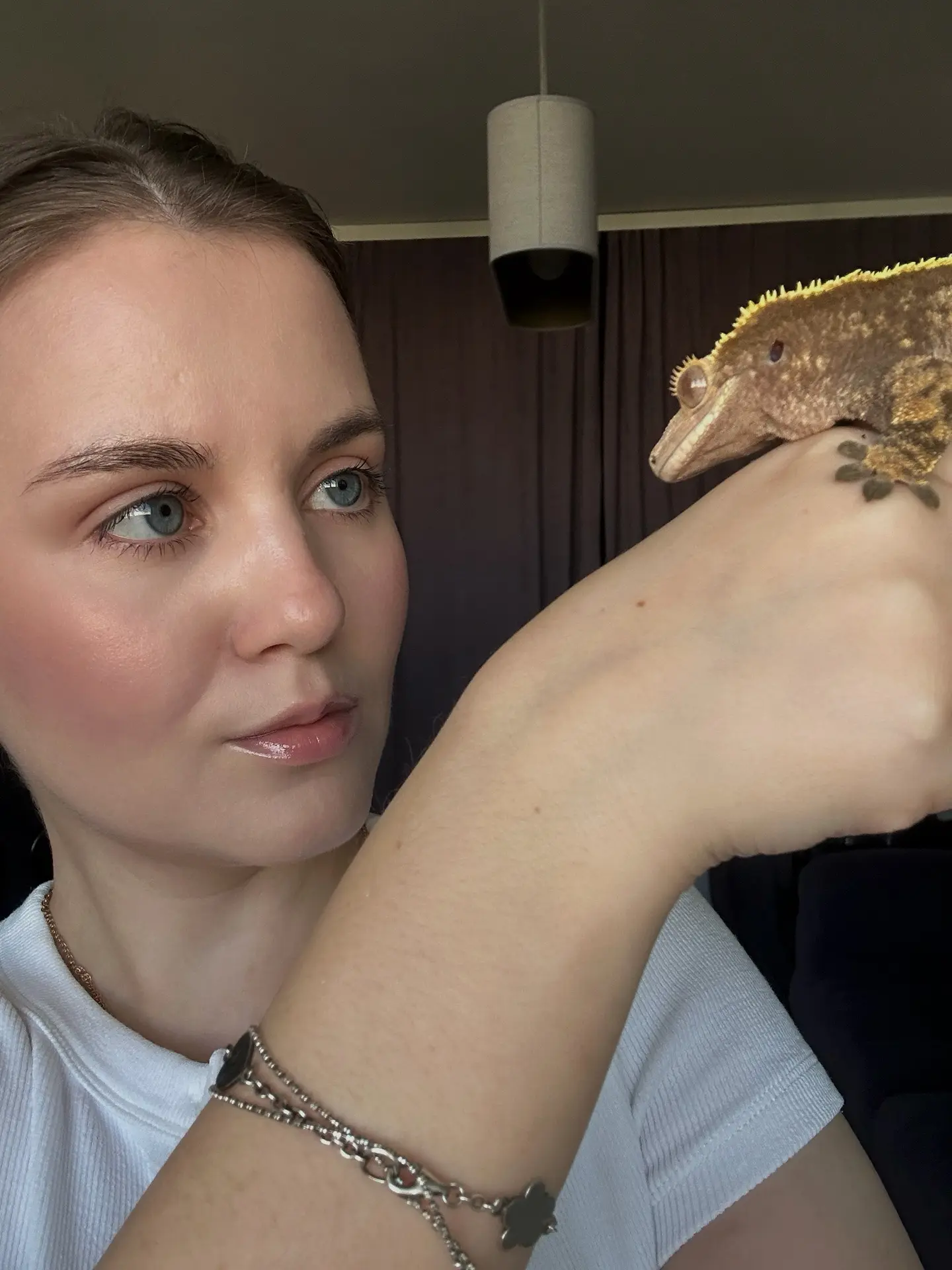 Про моего геккона Бу 🦎

Обещала вам пост, рассказываю!

Почему именно геккон?

У меня аллергия на к