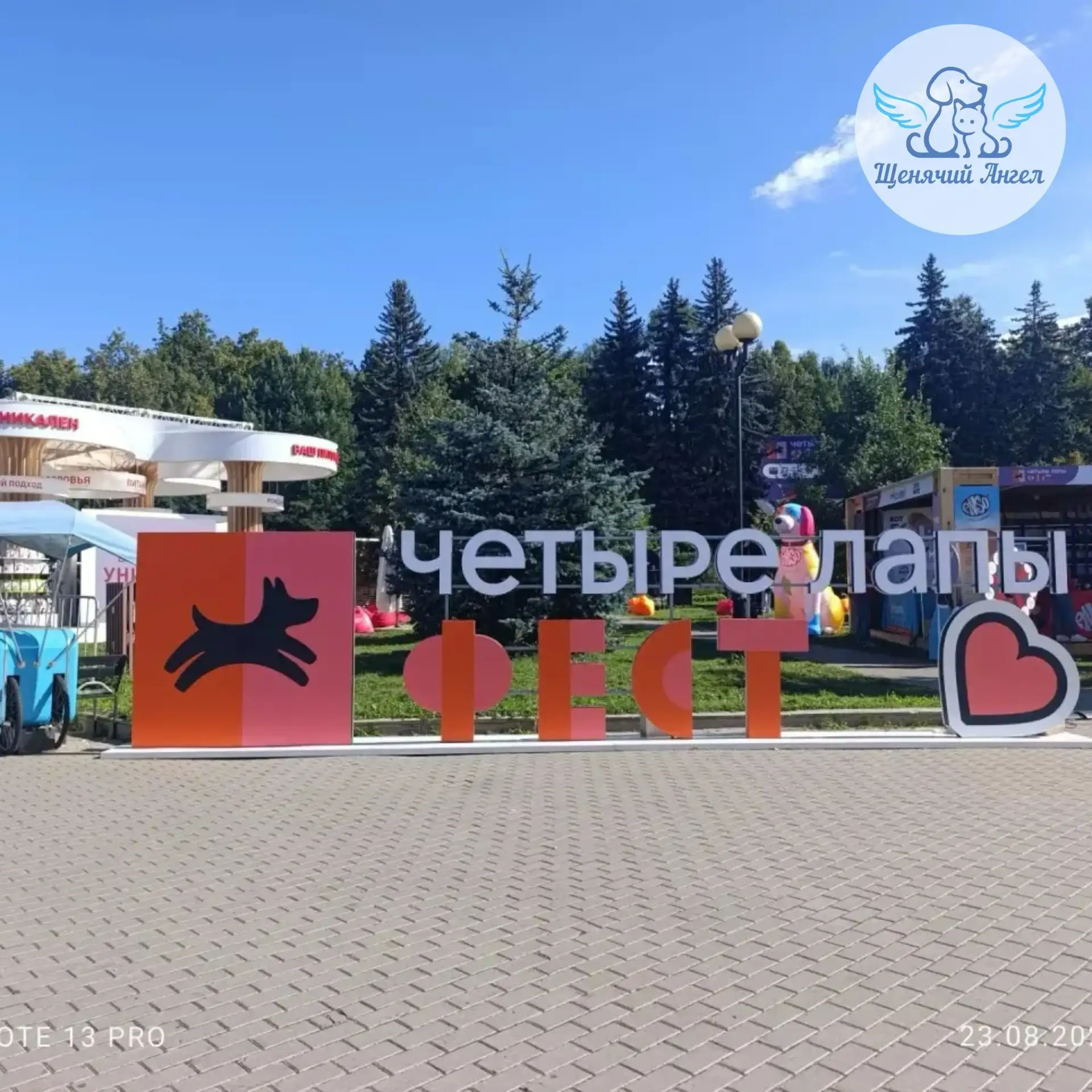 КОТИКИ «ЩЕНЯЧЬЕГО АНГЕЛА» НА ФЕСТИВАЛЕ «ЧЕТЫРЕ ЛАПЫ ФЕСТ» 🎉