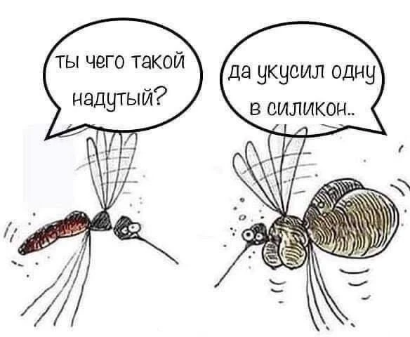 Юмор - Подписаться