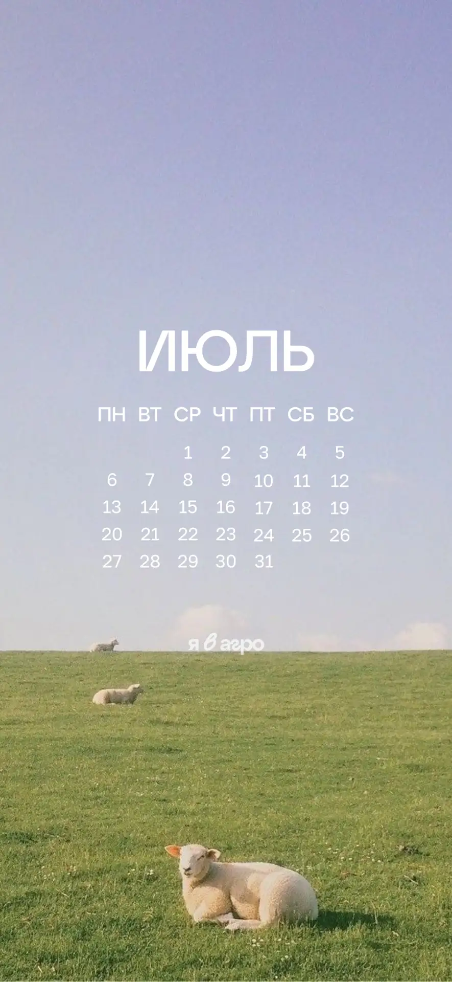 1/3 ☀️ 

Впереди ещё 2 месяца лета. Проведи его с пользой (на полуфинале и финале конкурса).

🌾 Дел