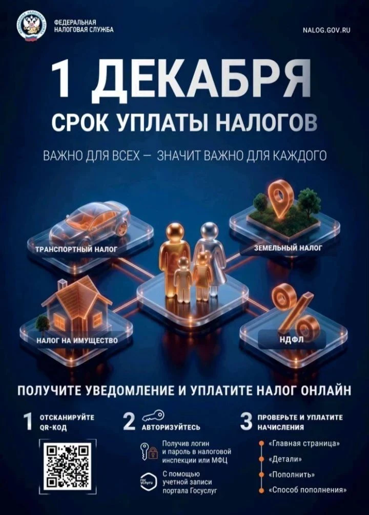 Не пропустите важный срок: 1 декабря — последний день уплаты имущественных и иных налог...