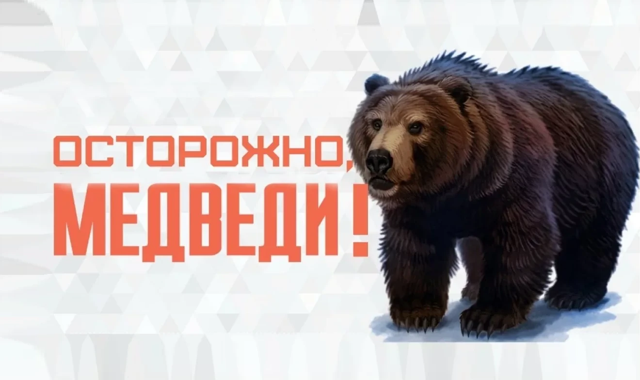 Осторожно, медведи!