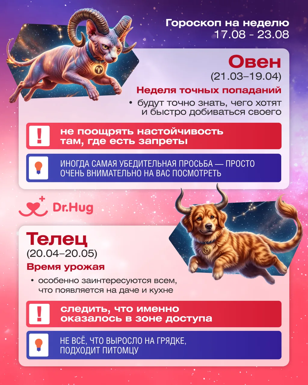 🔮 Гороскоп для хвостиков на неделю 17.08 – 23.08 🔮