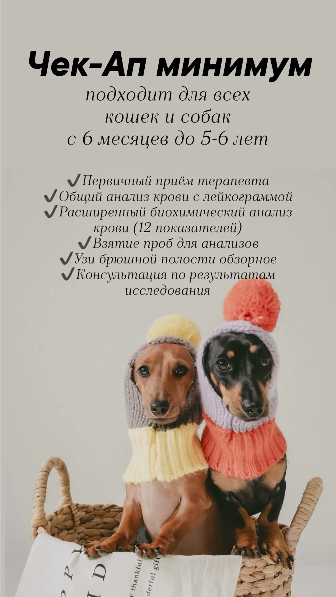 🩺 Ваш питомец заслуживает лучшей заботы! Представляем НОВУЮ услугу – Чек-ап для вашего любимца! 🩺 