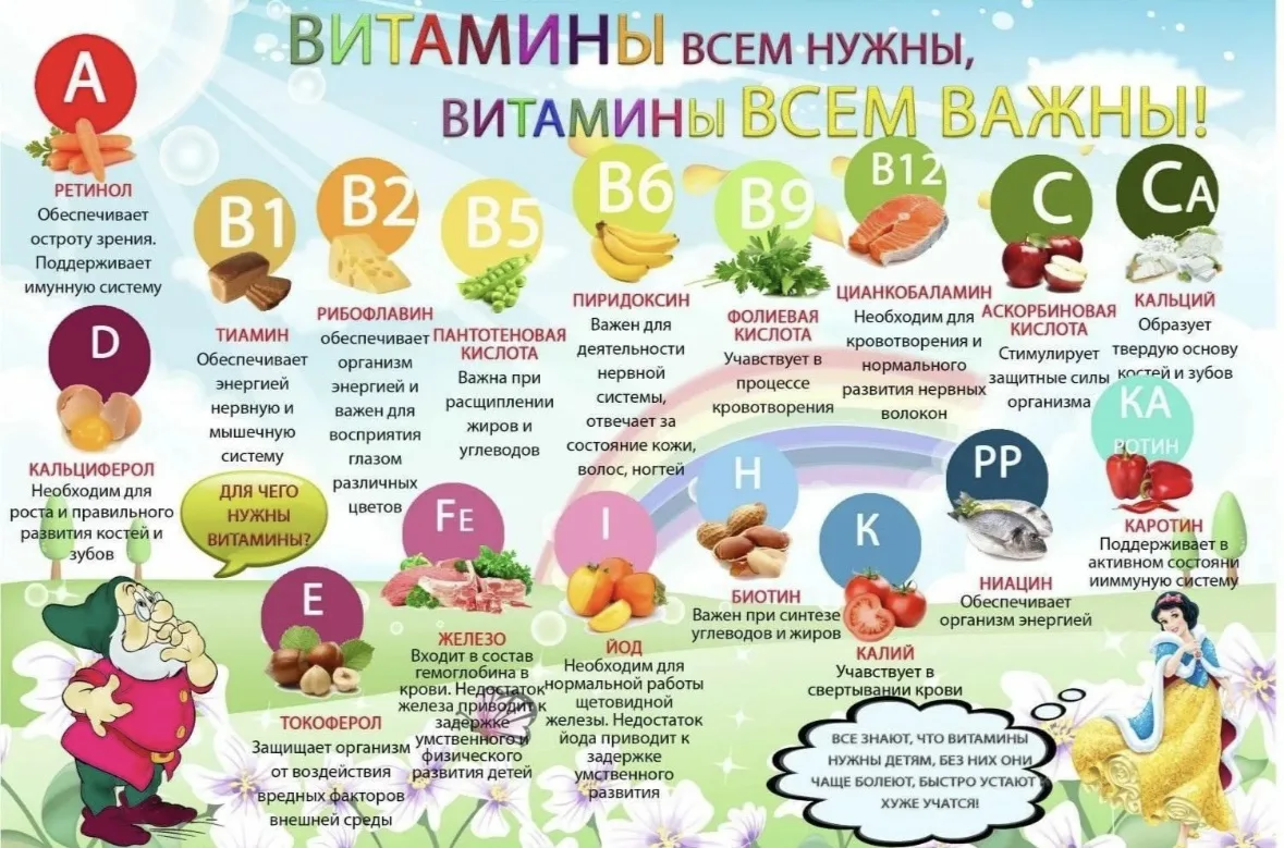 Полезная информация 👌
