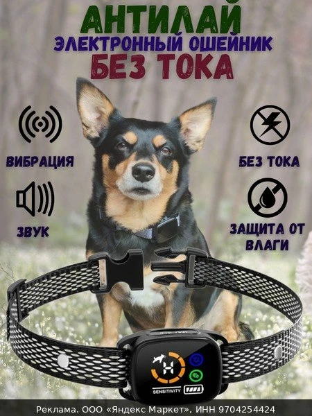 🐾Ошейник антилай электронный для собак для дрессировки и коррекции поведения собак