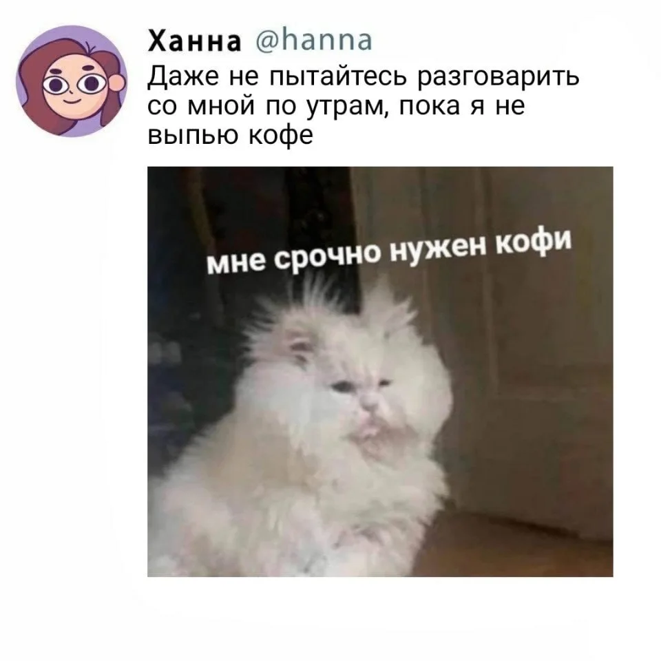 А лучше не будите меня раньше 12 утра