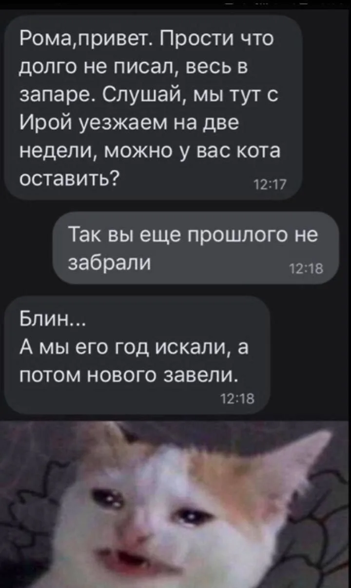 Зачем же так? 🐱
