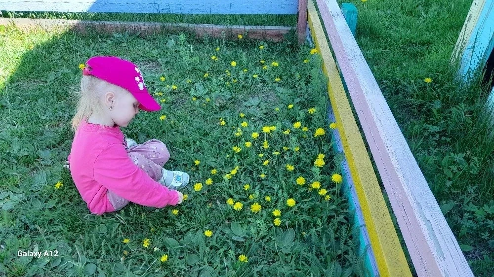 Увлекательные прогулки🌼
Лето — идеальное время для того, чтобы дети проводили больше времени на све