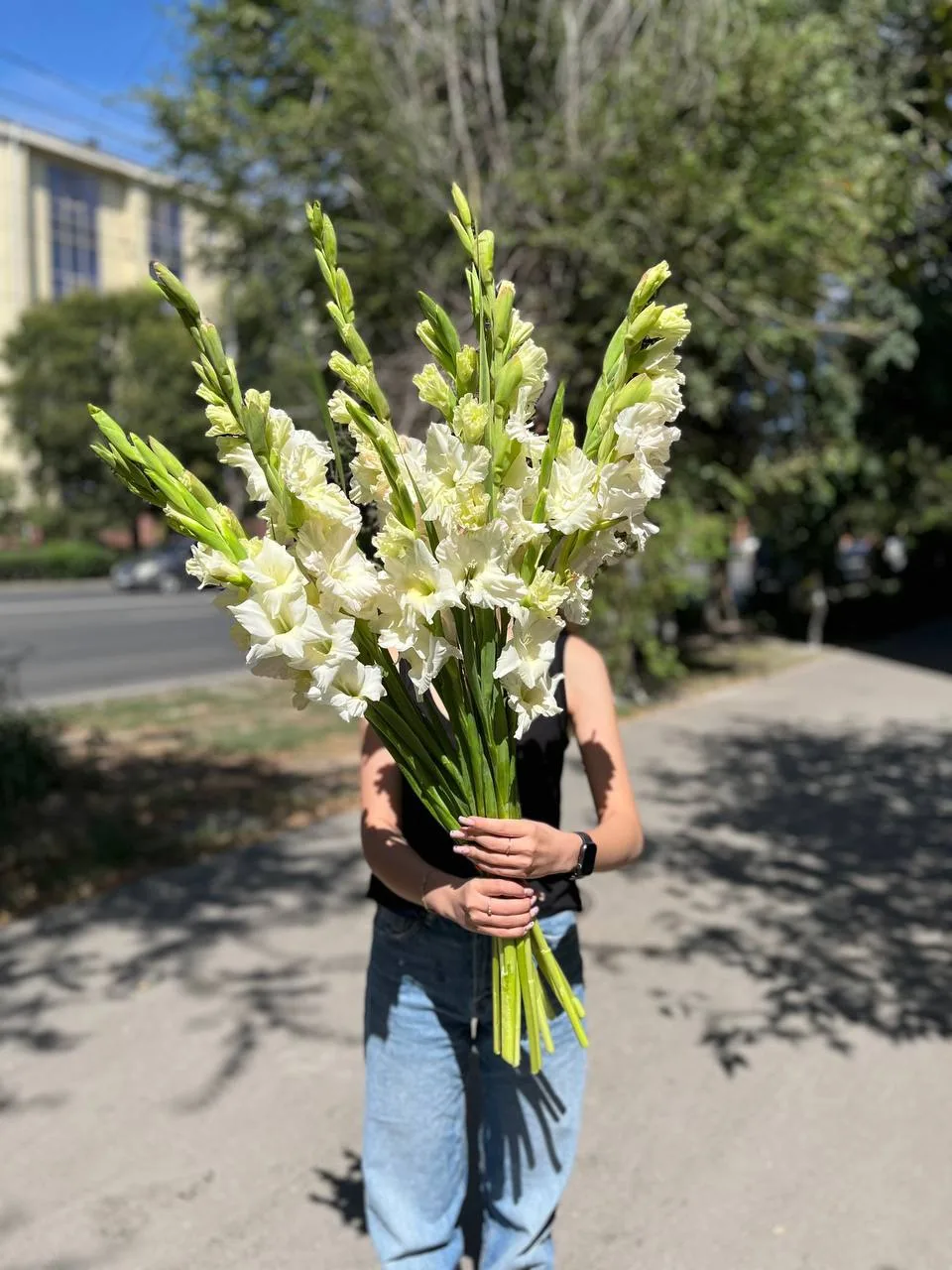 Посмотрите 😍 ну какие ШИКАРНЫЕ ГЛАДИОЛУСЫ приехали. 🌸