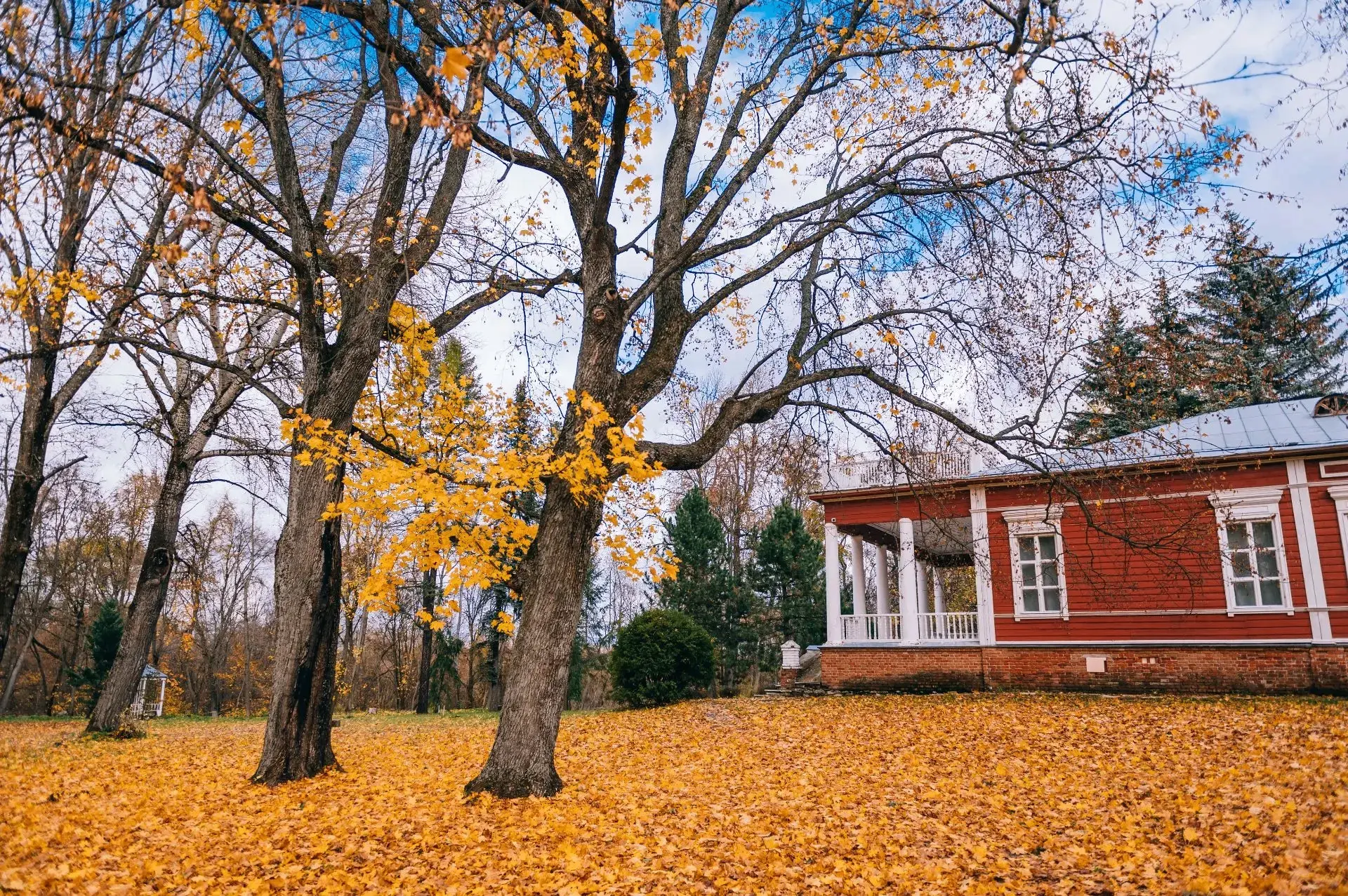 🍁 За красивыми осенними кадрами — в усадьбы Липецкой земли
