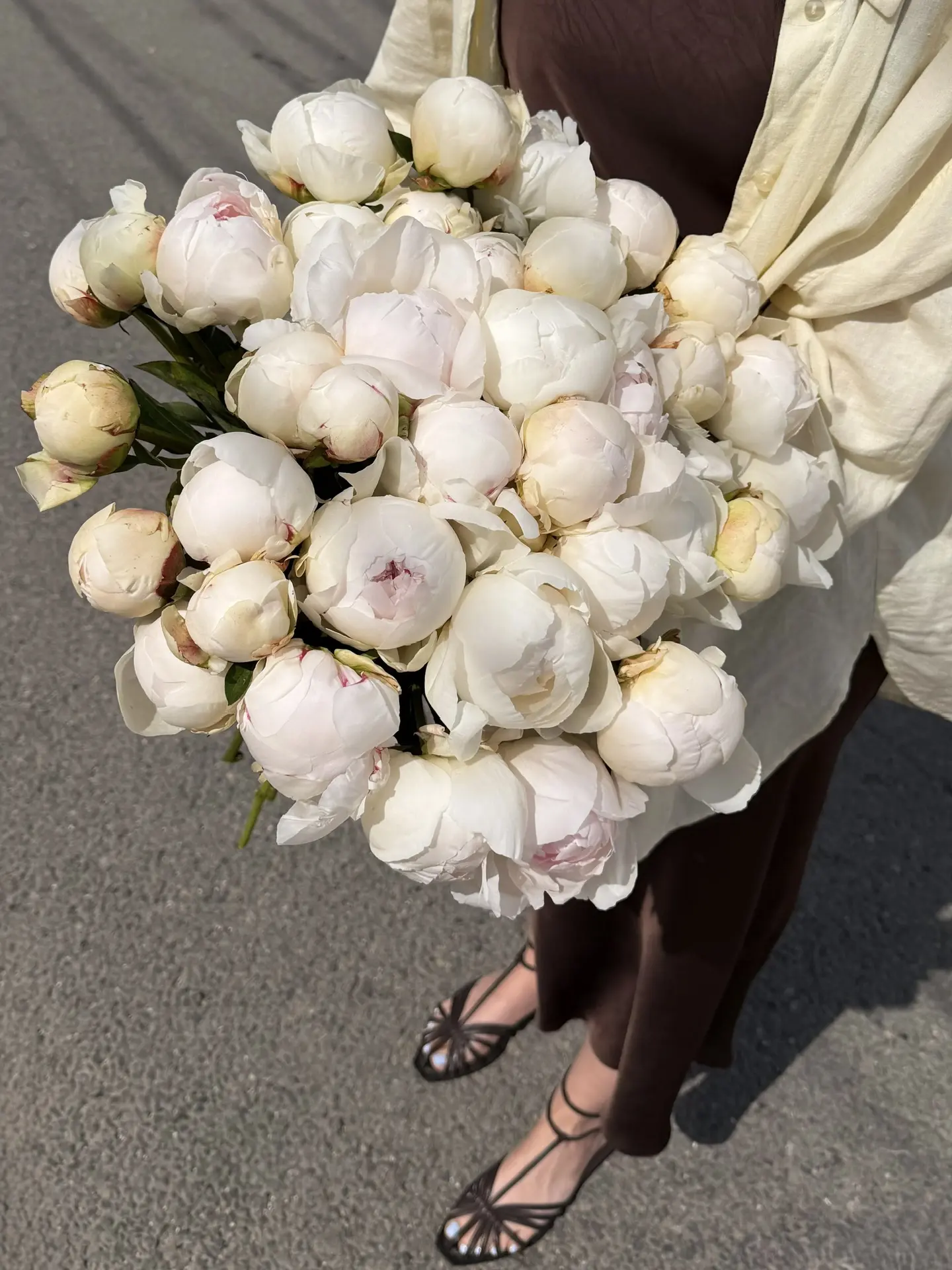 Свежая поставка пионов! 🌸